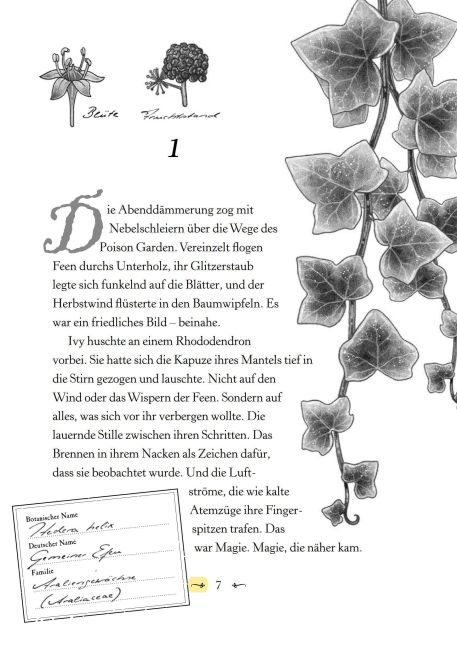 InsideView 6