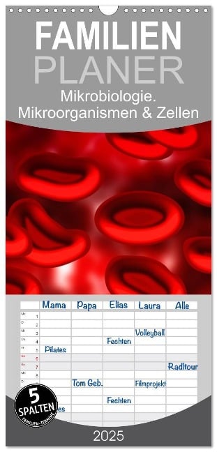 Familienplaner 2025 - Mikrobiologie. Mikroorganismen und Zellen mit 5 Spalten (Wandkalender, 21 x 45 cm) CALVENDO - Elisabeth Stanzer