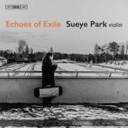 Cover-Bild zum Titel 'Echoes of Exile' von 'Sueye Park'