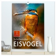 Cover-Bild zum Titel 'Schillernder Eisvogel (hochwertiger Premium Wandkalender 2026 DIN A2 hoch), Kunstdruck in Hochglanz' von 'Peter Roder'