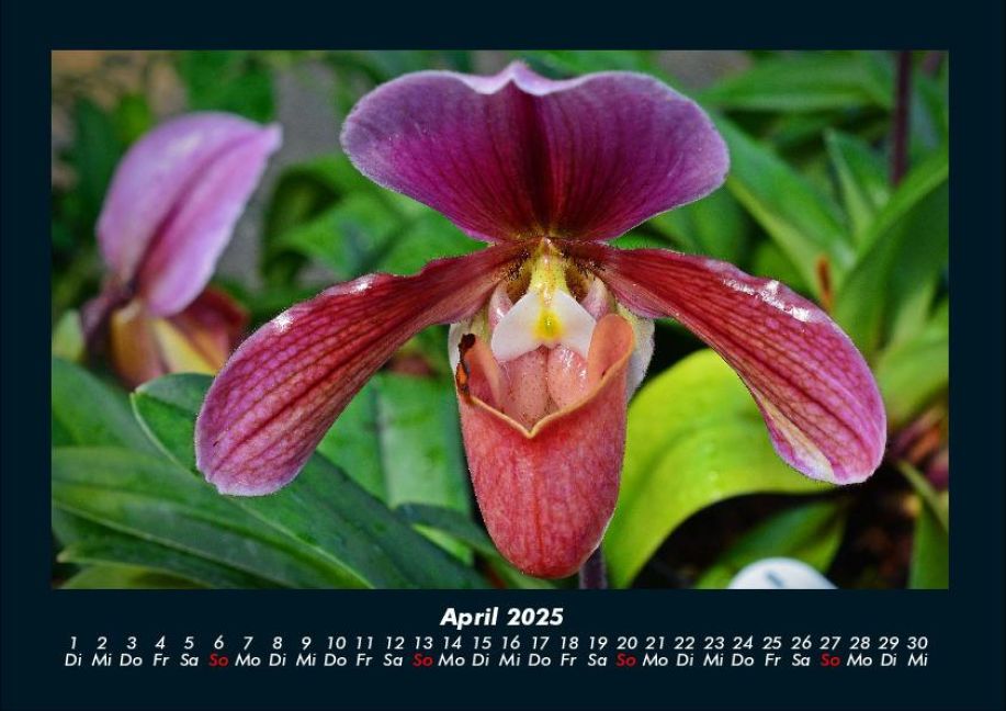 InsideView 8