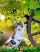 Katzen auf dem Lande Kalender 2026 - 