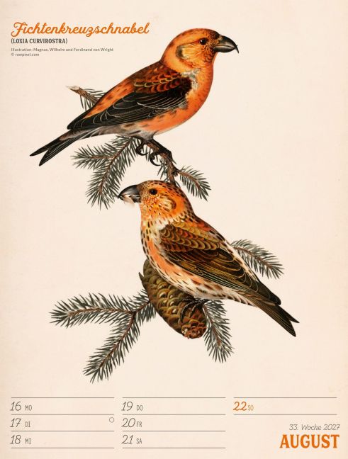 InsideView 37