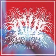 Cover-Bild zum Titel 'Love' von 'Tayne'