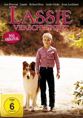 Lassie verschwindet - 