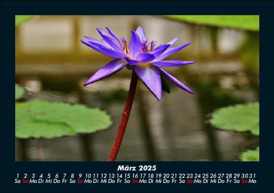 InsideView 7