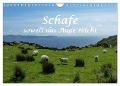 Schafe - soweit das Auge reicht (Wandkalender 2024 DIN A4 quer), CALVENDO Monatskalender - Stefanie Und Philipp Kellmann