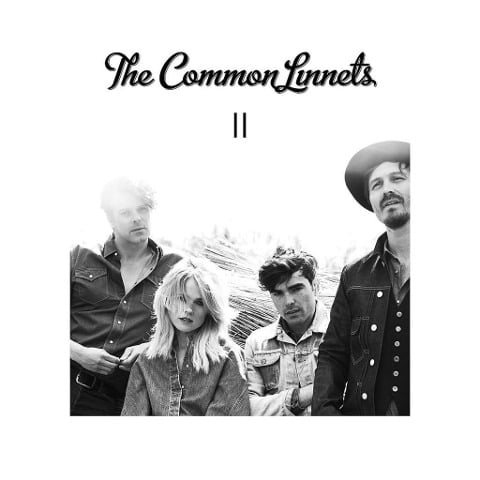 II - The Common Linnets