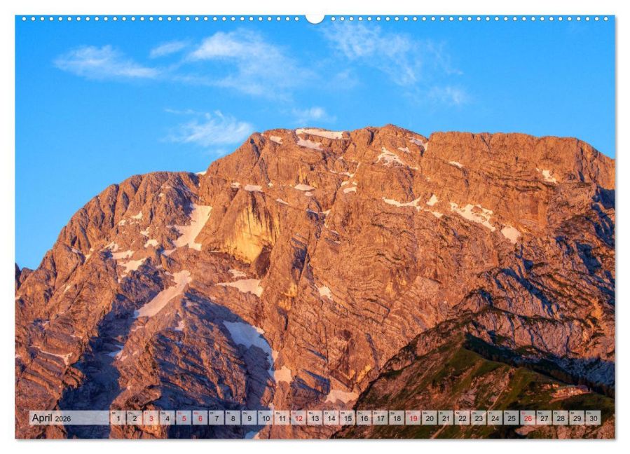 InsideView 8
