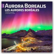 Cover-Bild zum Titel 'Aurora Borealis - Polarlicht 2026 - 16-Monatskalender' von 'Browntrout Publishers'