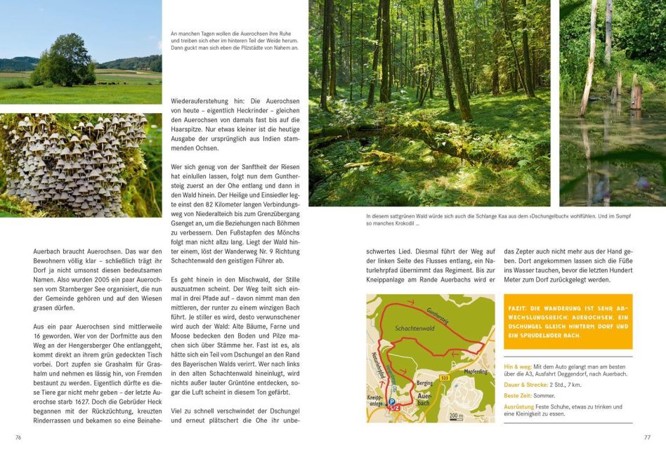 InsideView 4