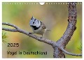 Vögel in Deutschland (Wandkalender 2025 DIN A4 quer), CALVENDO Monatskalender - Karin Jähne