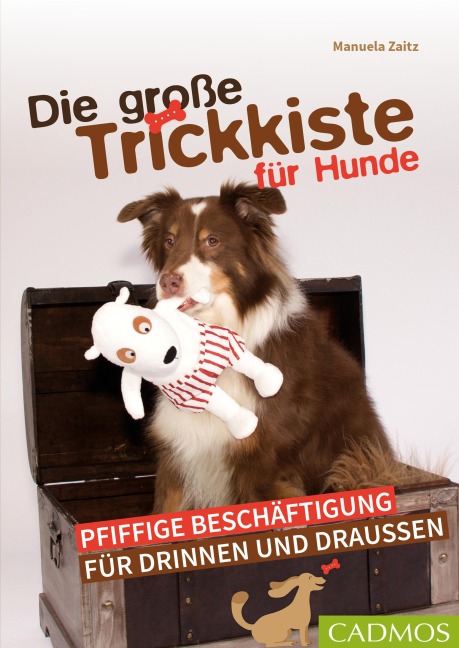 Die große Trickkiste für Hunde - Manuela Zaitz