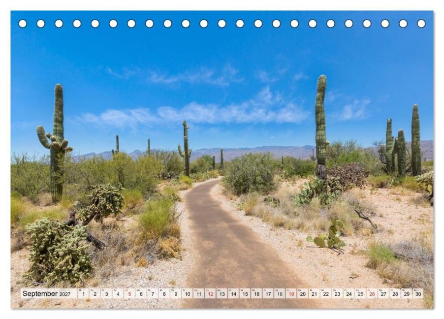InsideView 14