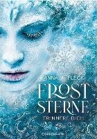 Froststerne (Bd. 1) - Anna Fleck