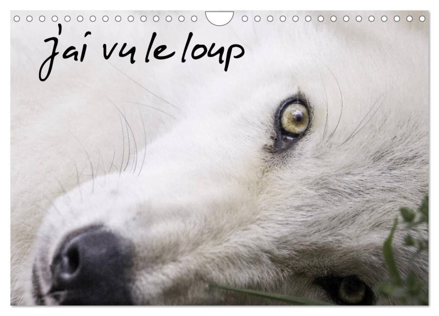 J'ai vu le loup (Calendrier mural 2026 DIN A4 vertical), CALVENDO calendrier mensuel - Arnaud Camel