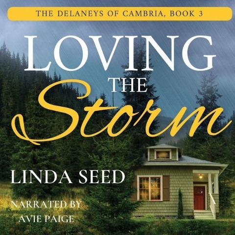 Loving the Storm Lib/E - Linda Seed