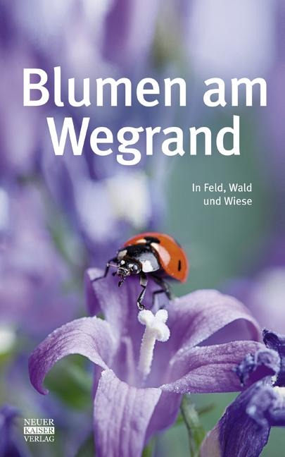 Blumen am Wegrand - 