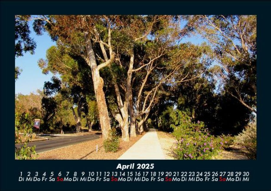 InsideView 8