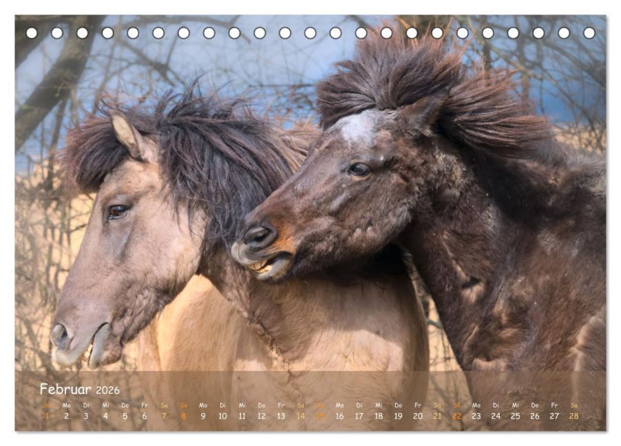 InsideView 7