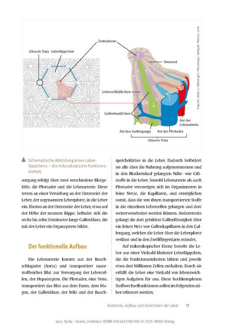 InsideView 10