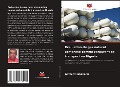 Cover-Bild zum Titel 'Évaluation du gaz naturel comprimé comme carburant de transport au Nigeria' von 'Anthony Igbojionu'