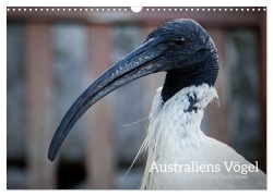 Cover-Bild zum Titel 'Australiens Vögel (Wandkalender 2026 DIN A3 quer), CALVENDO Monatskalender' von 'Florian Gschwind'