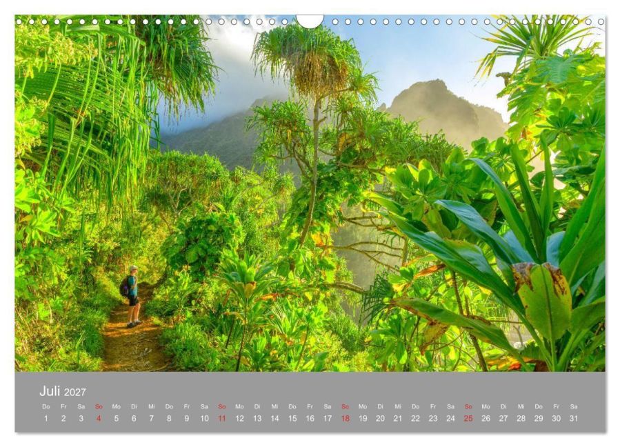 InsideView 12