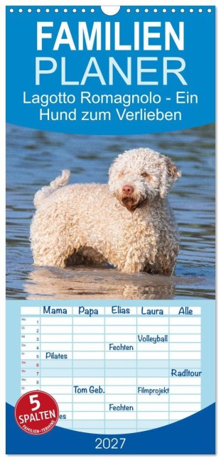 Familienplaner 2027 - Lagotto Romagnolo - Ein Hund zum Verlieben mit 5 Spalten (Wandkalender, 21 x 45 cm) CALVENDO - 