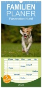 Cover-Bild zum Titel 'Familienplaner 2026 - Faszination Hund mit 5 Spalten (Wandkalender, 21 x 45 cm) CALVENDO' von 'Tierfotografie Bischof Bischof'