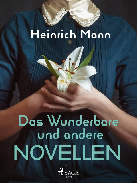 Das Wunderbare und andere Novellen - Heinrich Mann