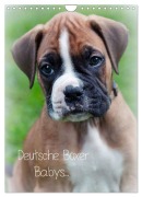 Cover-Bild zum Titel 'Deutsche Boxer Babys... (Wandkalender 2026 DIN A4 hoch), CALVENDO Monatskalender' von 'Nicole Schwalm Böttcher'