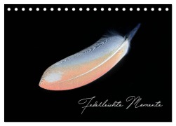 Federleichte Momente (Tischkalender 2026 DIN A5 quer), CALVENDO Monatskalender - Natalie Moßhammer