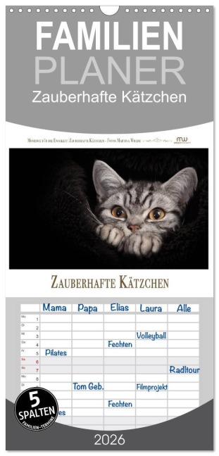 Familienplaner 2026 - Zauberhafte Kätzchen mit 5 Spalten (Wandkalender, 21 x 45 cm) CALVENDO - Martina Wrede
