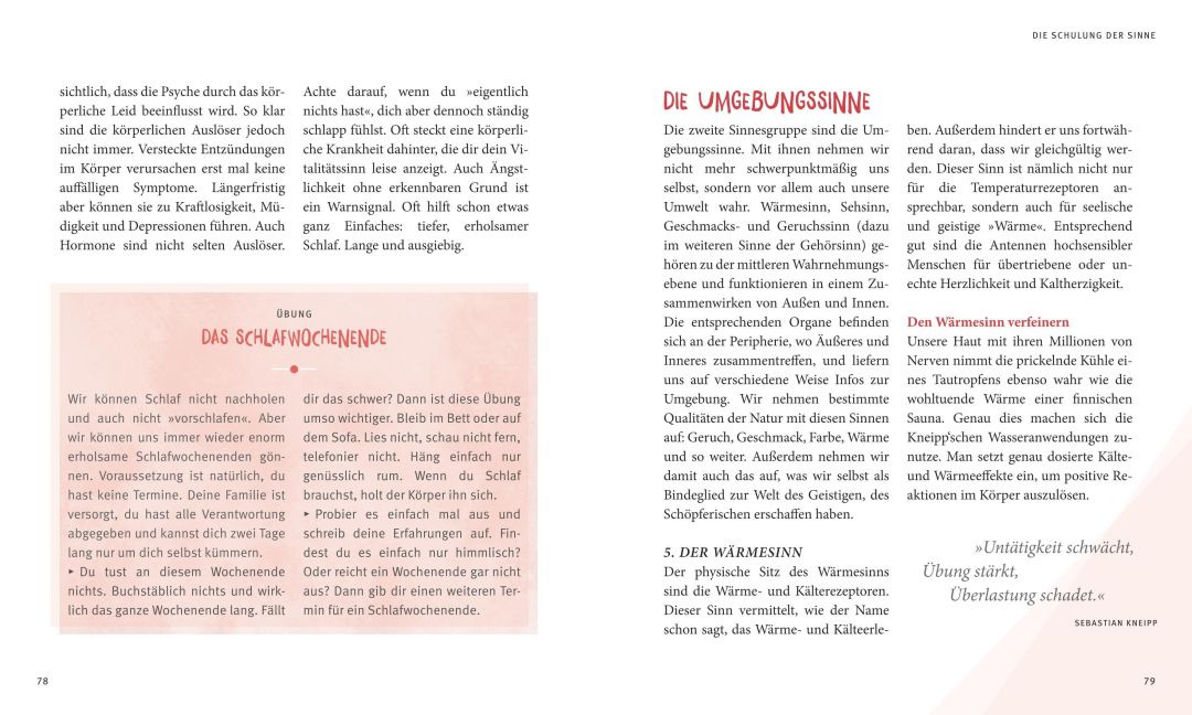 InsideView 5