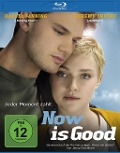 Cover-Bild zum Titel 'Now Is Good - Jeder Moment zählt' von 'Jenny Downham, Ol Parker, Dustin Ohalloran'