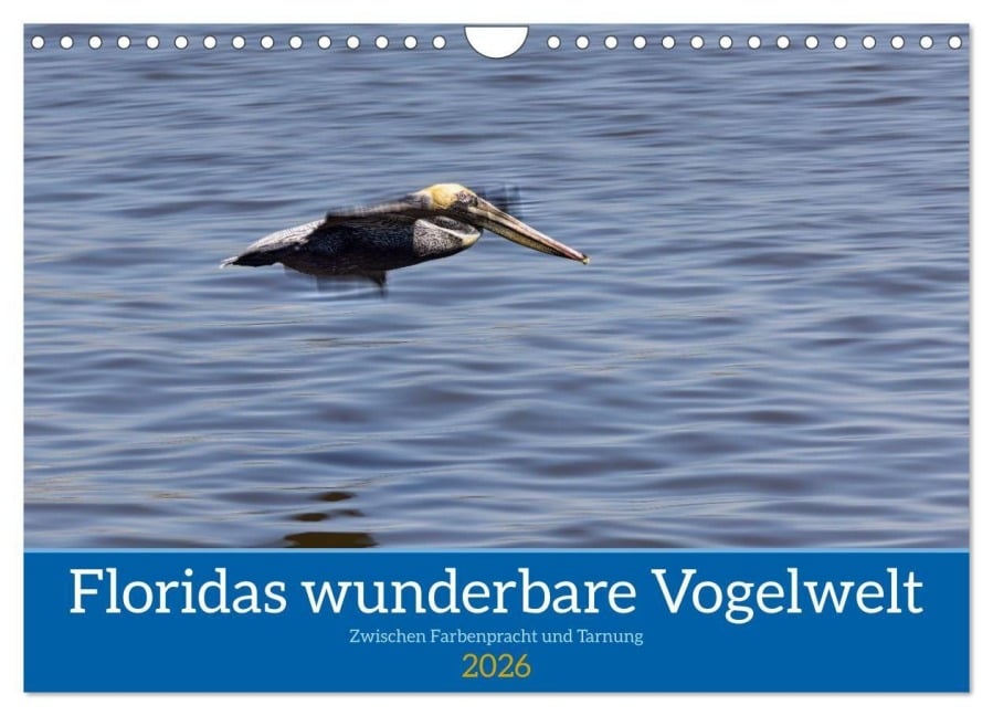 Floridas wunderbare Vogelwelt (Wandkalender 2026 DIN A4 quer), CALVENDO Monatskalender - Andreas Klesse