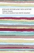 Cover-Bild zum Titel 'Zahme Xenien' von 'Johann Wolfgang Goethe'