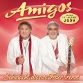 Sehnsucht,die wie Feuer brennt - Amigos