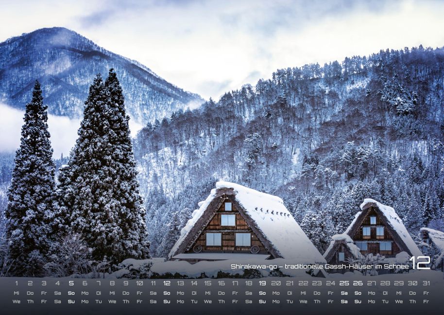 InsideView 12