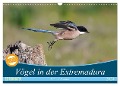 Vögel in der Extremadura (Wandkalender 2024 DIN A3 quer), CALVENDO Monatskalender - Huttwil (Schweiz) Schmid