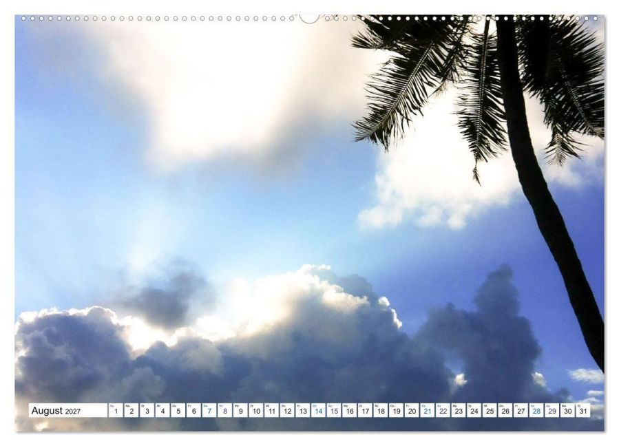 InsideView 13