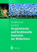 Vergleichende und funktionelle Anatomie der Wirbeltiere - Milton Hildebrand, George Goslow