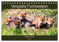Cover-Bild zum Titel 'Verspielte Fuchswelpen - Allein zu Haus' (Tischkalender 2026 DIN A5 quer), CALVENDO Monatskalender' von 'Janita Webeler'