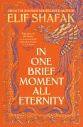 Cover-Bild zum Titel 'In One Brief Moment All Eternity' von 'Elif Shafak'