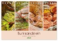 Buntsandstein - Sandstein im Dahner Felsenland (Tischkalender 2024 DIN A5 quer), CALVENDO Monatskalender - LianeM LianeM