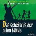 11: Das Geheimnis der alten Mühle - Hanno Herzler