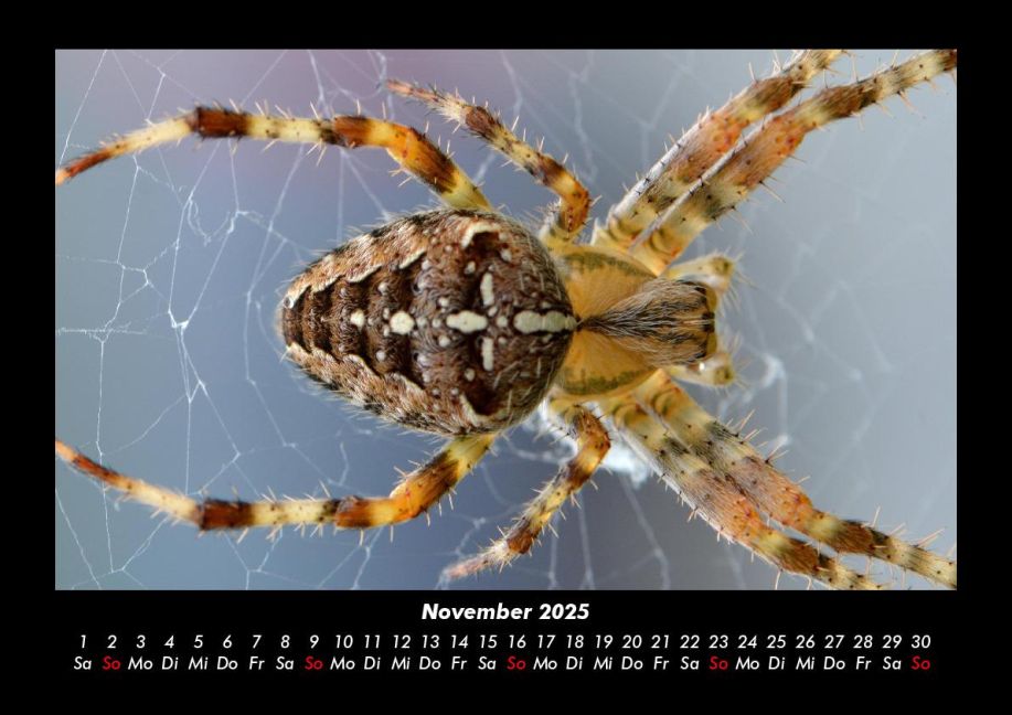 InsideView 3