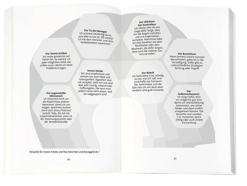 InsideView 2