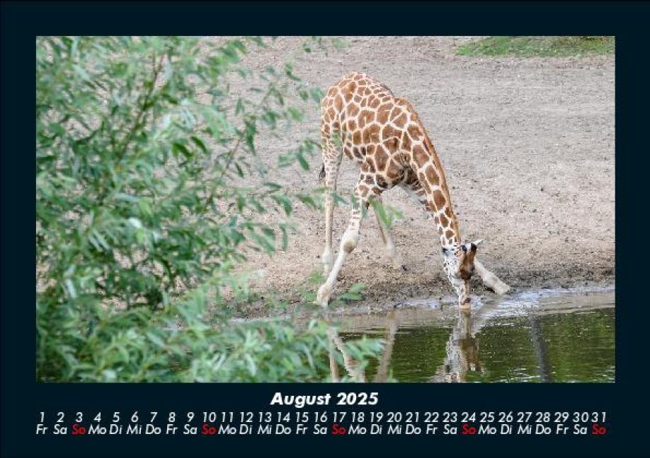InsideView 12